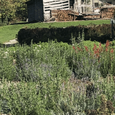 Cœur Nature Champ Paysage